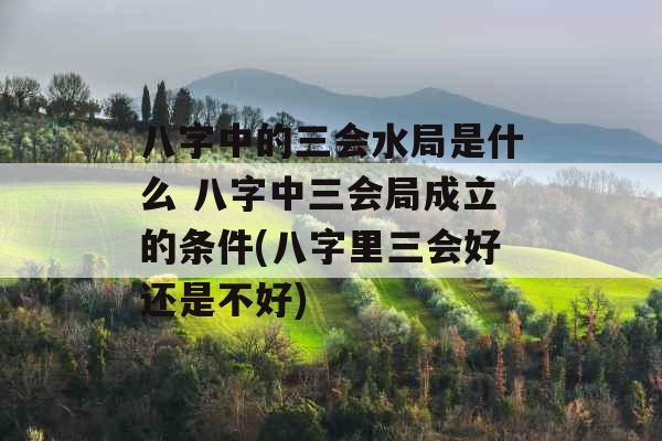 八字中的三会水局是什么 八字中三会局成立的条件(八字里三会好还是不好)