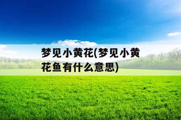 梦见小黄花(梦见小黄花鱼有什么意思)