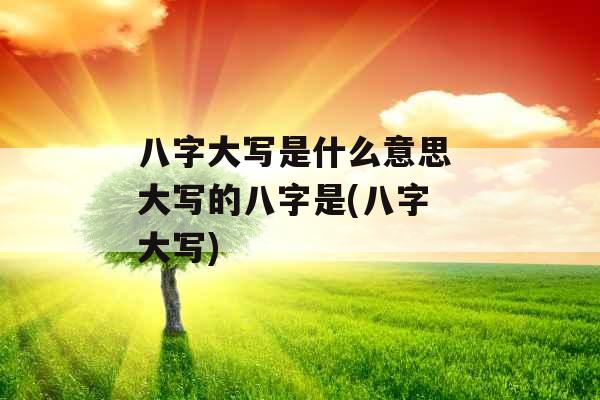 八字大写是什么意思 大写的八字是(八字 大写)