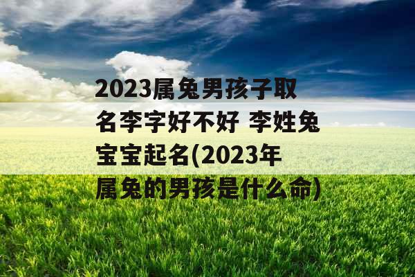2023属兔男孩子取名李字好不好 李姓兔宝宝起名(2023年属兔的男孩是什么命)