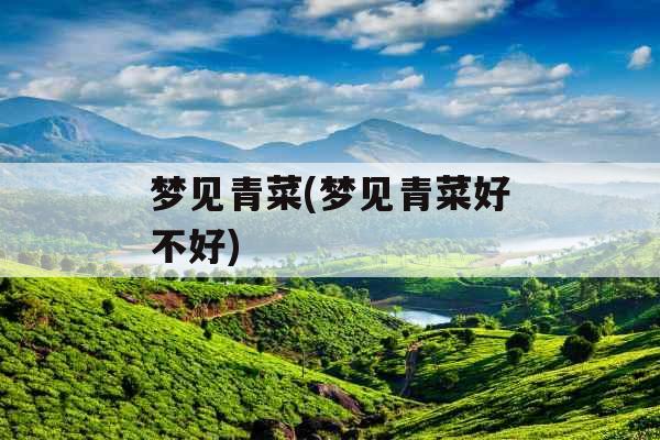 梦见青菜(梦见青菜好不好)