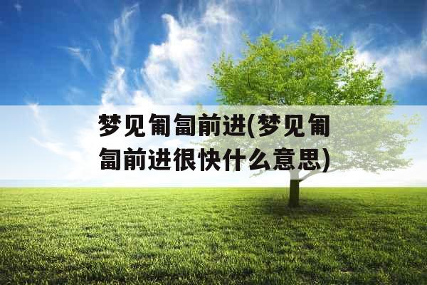 梦见匍匐前进(梦见匍匐前进很快什么意思) 梦见匍匐前进(梦见匍匐前进很快什么意思)