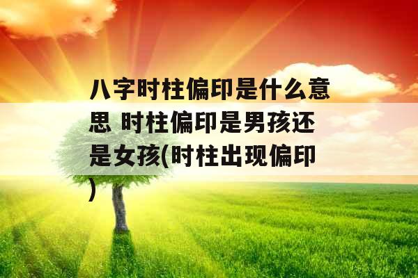 八字时柱偏印是什么意思 时柱偏印是男孩还是女孩(时柱出现偏印)