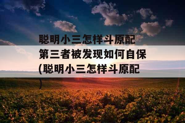 聪明小三怎样斗原配 第三者被发现如何自保(聪明小三怎样斗原配) 聪明小三怎样斗原配 第三者被发现如何自保(聪明小三怎样斗原配)