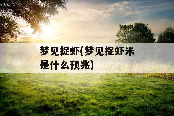 梦见捉虾(梦见捉虾米是什么预兆)