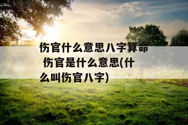 伤官什么意思八字算命 伤官是什么意思(什么叫伤官八字)