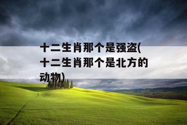 十二生肖那个是强盗(十二生肖那个是北方的动物)