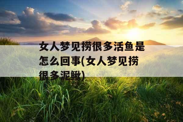 女人梦见捞很多活鱼是怎么回事(女人梦见捞很多泥鳅)