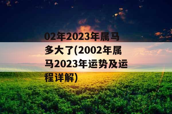 02年2023年属马多大了(2002年属马2023年运势及运程详解)