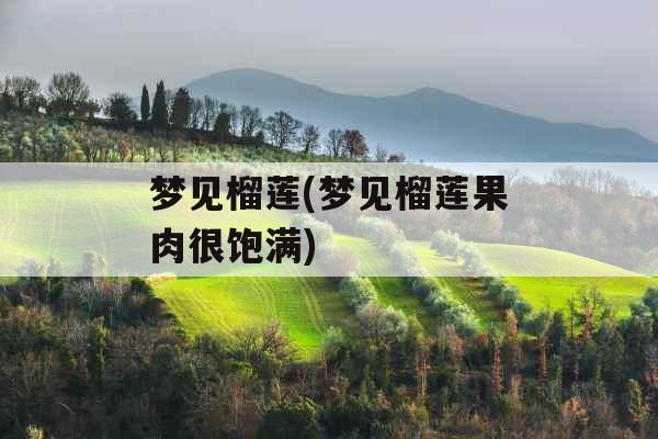 梦见榴莲(梦见榴莲果肉很饱满)