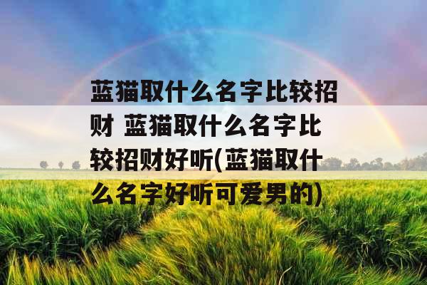 蓝猫取什么名字比较招财 蓝猫取什么名字比较招财好听(蓝猫取什么名字好听可爱男的)