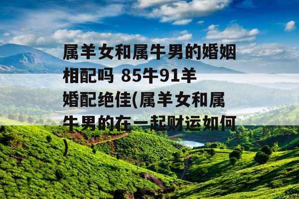 属羊女和属牛男的婚姻相配吗 85牛91羊婚配绝佳(属羊女和属牛男的在一起财运如何)