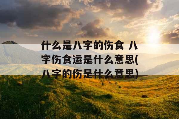 什么是八字的伤食 八字伤食运是什么意思(八字的伤是什么意思)