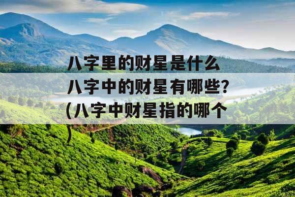 八字里的财星是什么 八字中的财星有哪些？(八字中财星指的哪个)