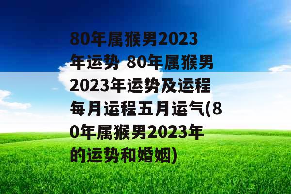 80年属猴男2023年运势 80年属猴男2023年运势及运程每月运程五月运气(80年属猴男2023年的运势和婚姻)