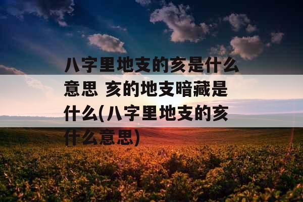 八字里地支的亥是什么意思 亥的地支暗藏是什么(八字里地支的亥什么意思)