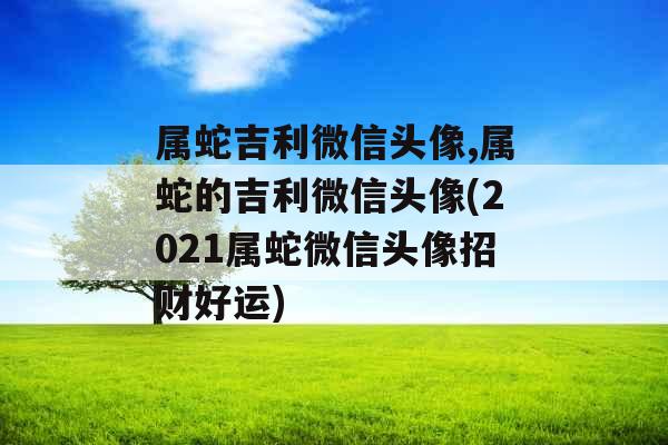属蛇吉利微信头像,属蛇的吉利微信头像(2021属蛇微信头像招财好运)