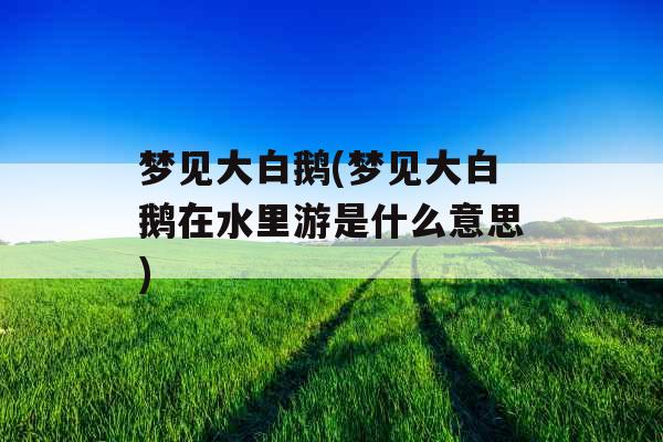 梦见大白鹅(梦见大白鹅在水里游是什么意思) 梦见大白鹅(梦见大白鹅在水里游是什么意思)