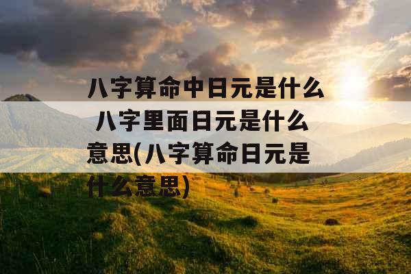 八字算命中日元是什么 八字里面日元是什么意思(八字算命日元是什么意思)