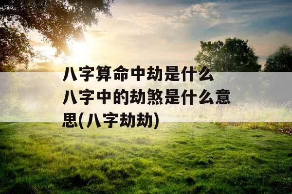 八字算命中劫是什么 八字中的劫煞是什么意思(八字劫劫)
