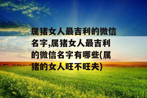 属猪女人最吉利的微信名字,属猪女人最吉利的微信名字有哪些(属猪的女人旺不旺夫)