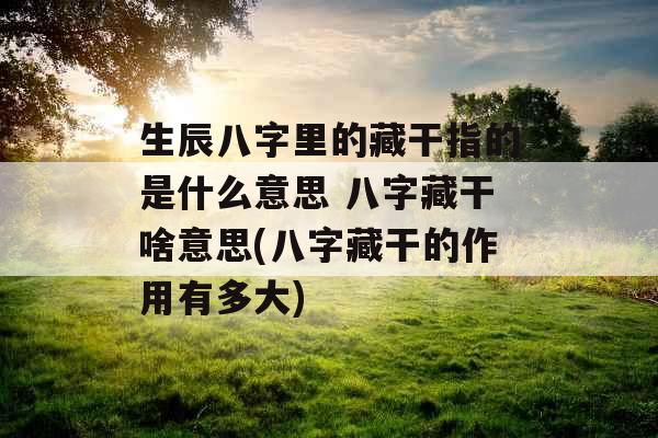 生辰八字里的藏干指的是什么意思 八字藏干啥意思(八字藏干的作用有多大)