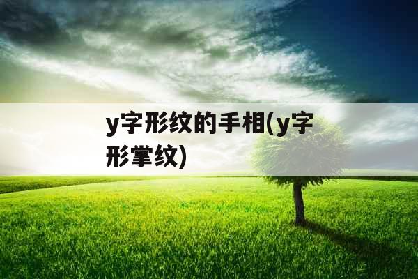 y字形纹的手相(y字形掌纹) y字形纹的手相(y字形掌纹)