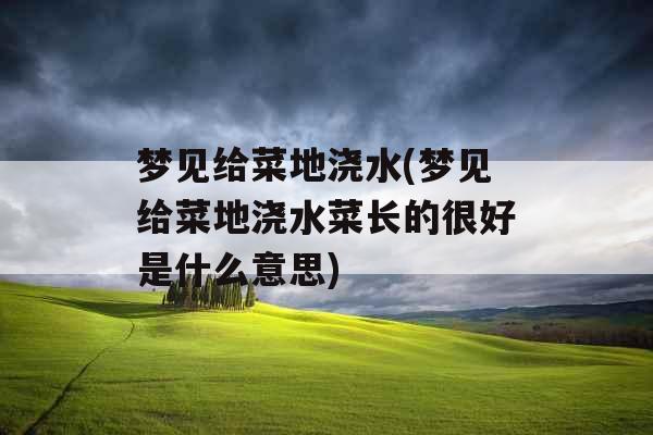 梦见给菜地浇水(梦见给菜地浇水菜长的很好是什么意思)