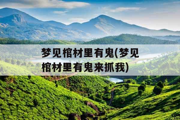 梦见棺材里有鬼(梦见棺材里有鬼来抓我)