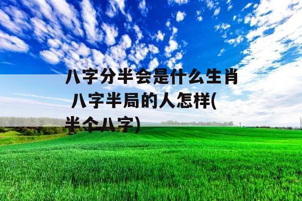 八字分半会是什么生肖 八字半局的人怎样(半个八字)