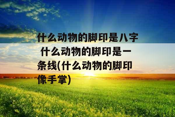 什么动物的脚印是八字 什么动物的脚印是一条线(什么动物的脚印像手掌)