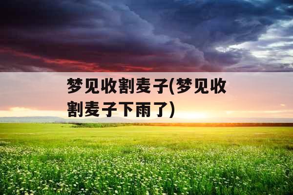梦见收割麦子(梦见收割麦子下雨了)