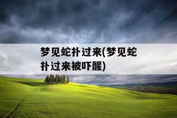 梦见蛇扑过来(梦见蛇扑过来被吓醒)