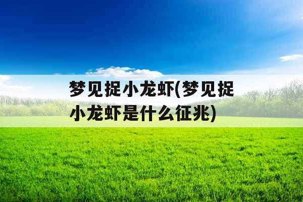 梦见捉小龙虾(梦见捉小龙虾是什么征兆)