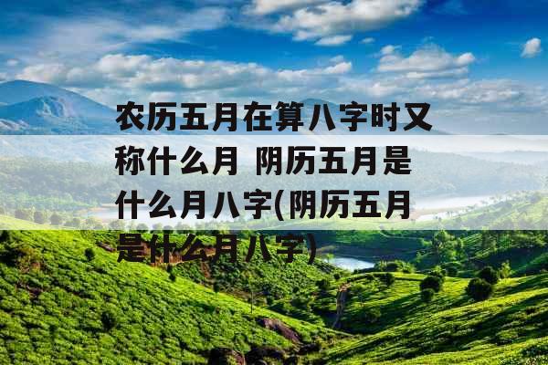 农历五月在算八字时又称什么月 阴历五月是什么月八字(阴历五月是什么月八字)