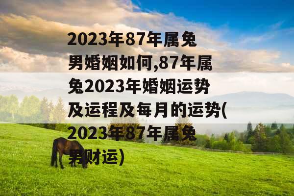 2023年87年属兔男婚姻如何,87年属兔2023年婚姻运势及运程及每月的运势(2023年87年属兔男财运)
