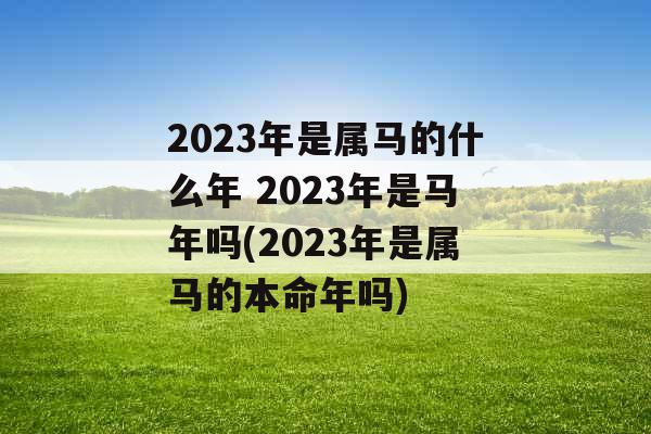 2023年是属马的什么年 2023年是马年吗(2023年是属马的本命年吗)