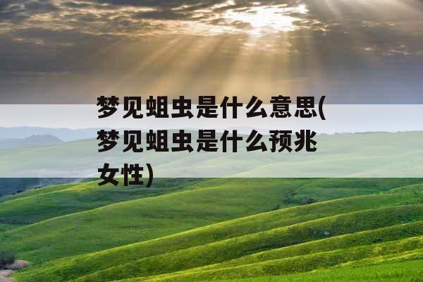 梦见蛆虫是什么意思(梦见蛆虫是什么预兆 女性)
