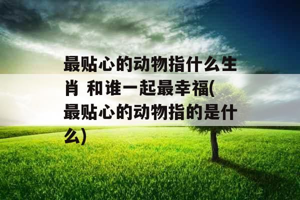 最贴心的动物指什么生肖 和谁一起最幸福(最贴心的动物指的是什么)