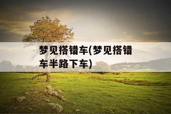 梦见搭错车(梦见搭错车半路下车)