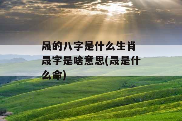 晟的八字是什么生肖 晟字是啥意思(晟是什么命)