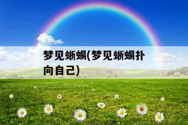 梦见蜥蜴(梦见蜥蜴扑向自己)