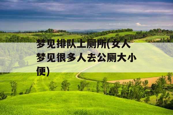 梦见排队上厕所(女人梦见很多人去公厕大小便) 梦见排队上厕所(女人梦见很多人去公厕大小便)