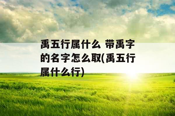 禹五行属什么 带禹字的名字怎么取(禹五行属什么行)