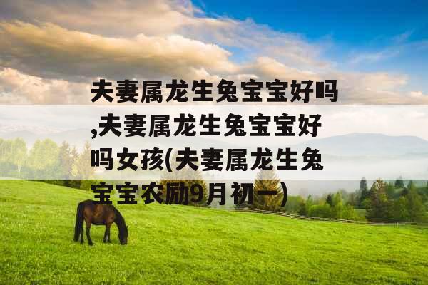 夫妻属龙生兔宝宝好吗,夫妻属龙生兔宝宝好吗女孩(夫妻属龙生兔宝宝农励9月初一) 夫妻属龙生兔宝宝好吗,夫妻属龙生兔宝宝好吗女孩(夫妻属龙生兔宝宝农励9月初一)