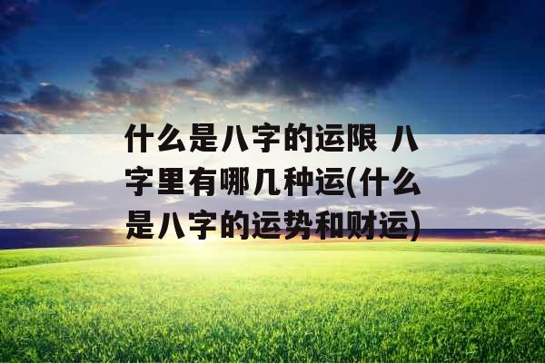 什么是八字的运限 八字里有哪几种运(什么是八字的运势和财运)