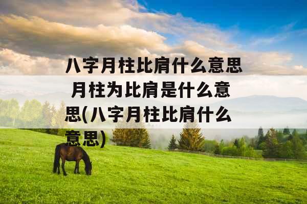八字月柱比肩什么意思 月柱为比肩是什么意思(八字月柱比肩什么意思)