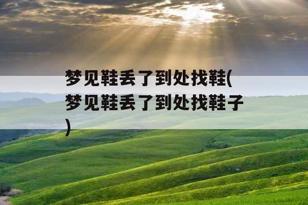 梦见鞋丢了到处找鞋(梦见鞋丢了到处找鞋子)