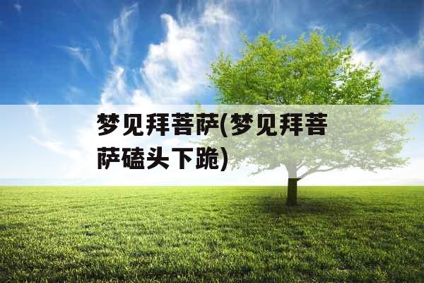 梦见拜菩萨(梦见拜菩萨磕头下跪)