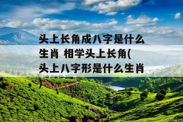 头上长角成八字是什么生肖 相学头上长角(头上八字形是什么生肖) 头上长角成八字是什么生肖 相学头上长角(头上八字形是什么生肖)